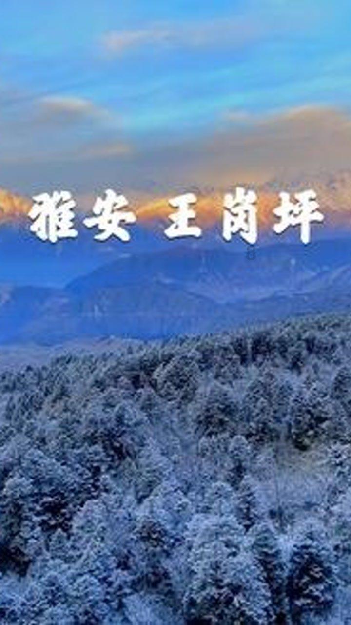 大豪宅逃脱7